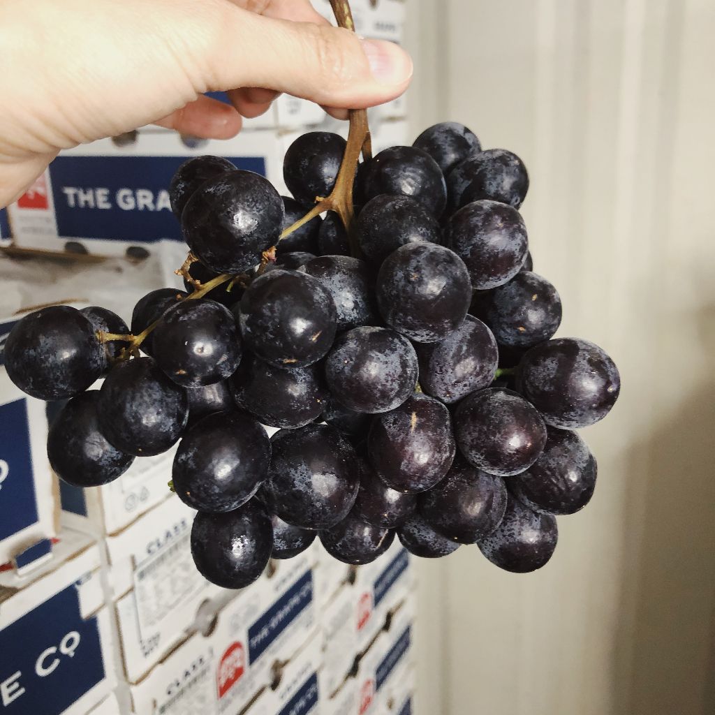 tw-11134207-23030-4g48femw7mov2d