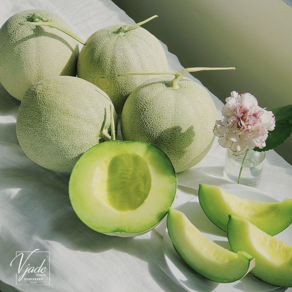 sg-11134201-22100-pfylpk1zcajve3