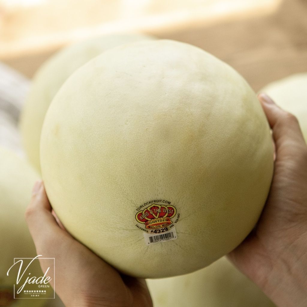 1e04e6035b7f617c0263a76261da0b82