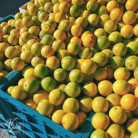 tw-11134207-23010-9928yf09enmve0