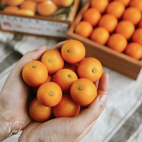 5fa2ffc20c22f3584fd10daec3fe14b9