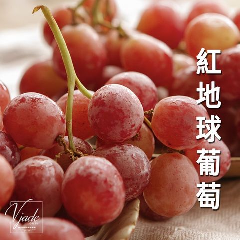 sg-11134201-22110-sws22bz8fxjv26