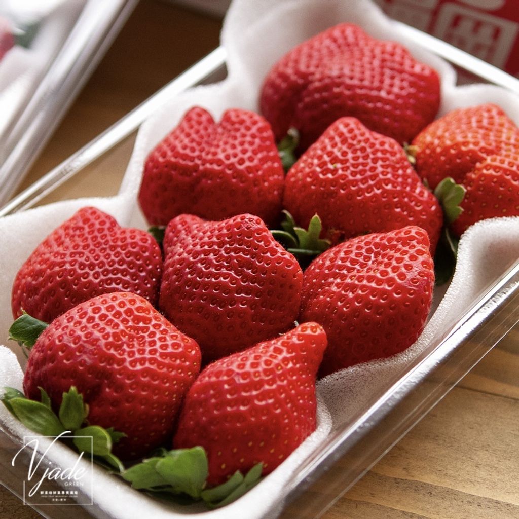 sg-11134201-22120-5h0x3c8mmvkvff