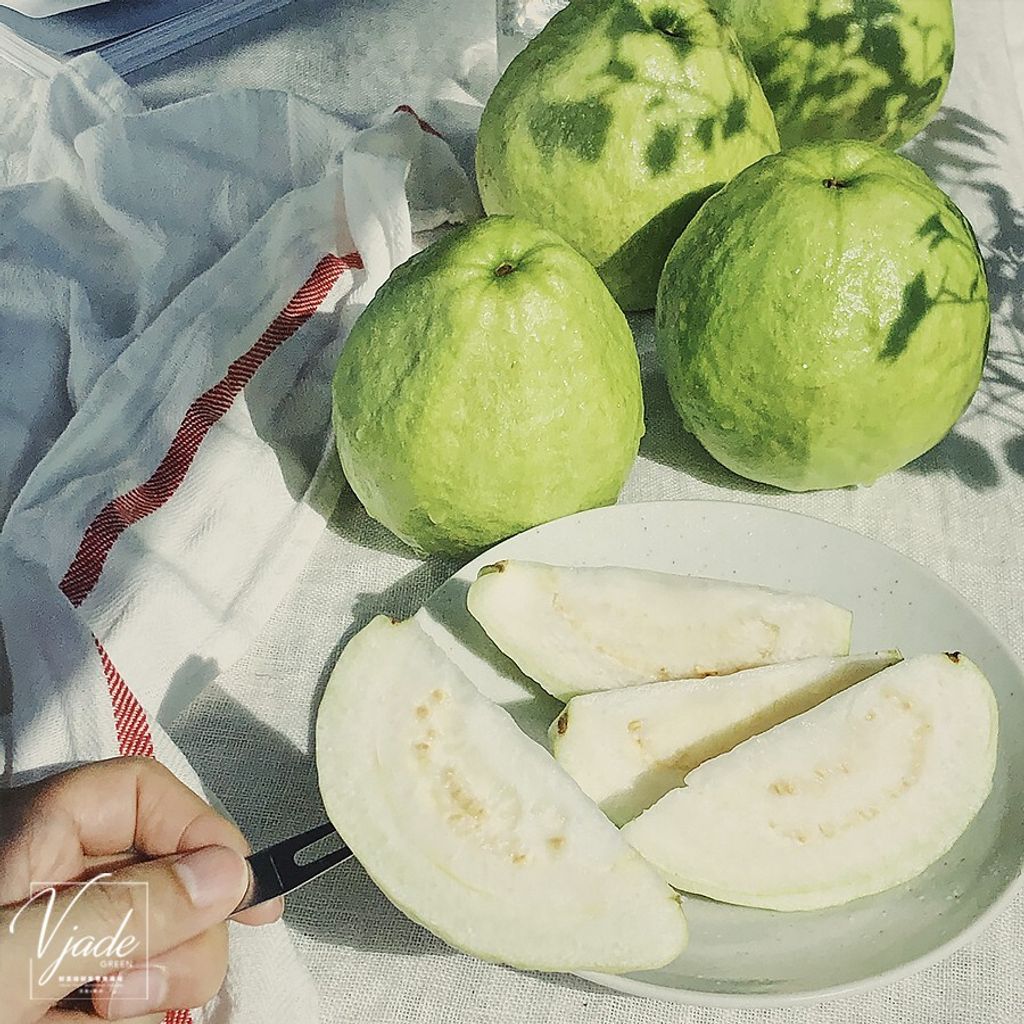 d55a7b62479ade0ff2a5d930d3dc92e4