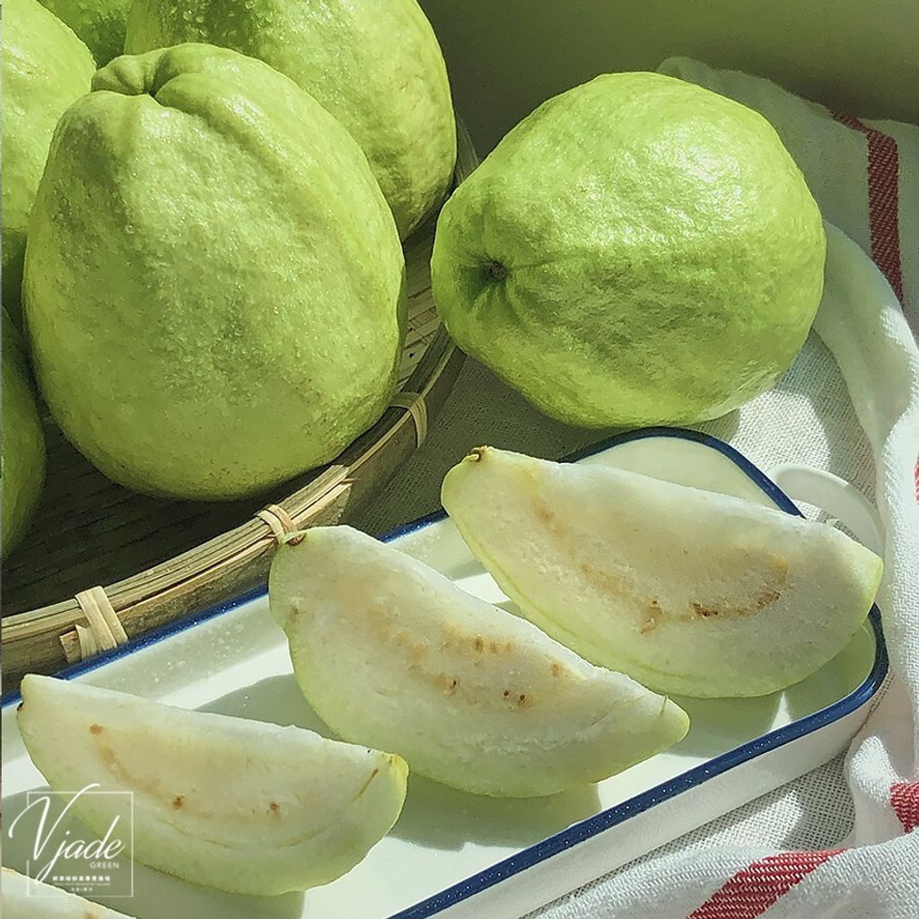 10314a73be55e1cc2ca255a2686ececd