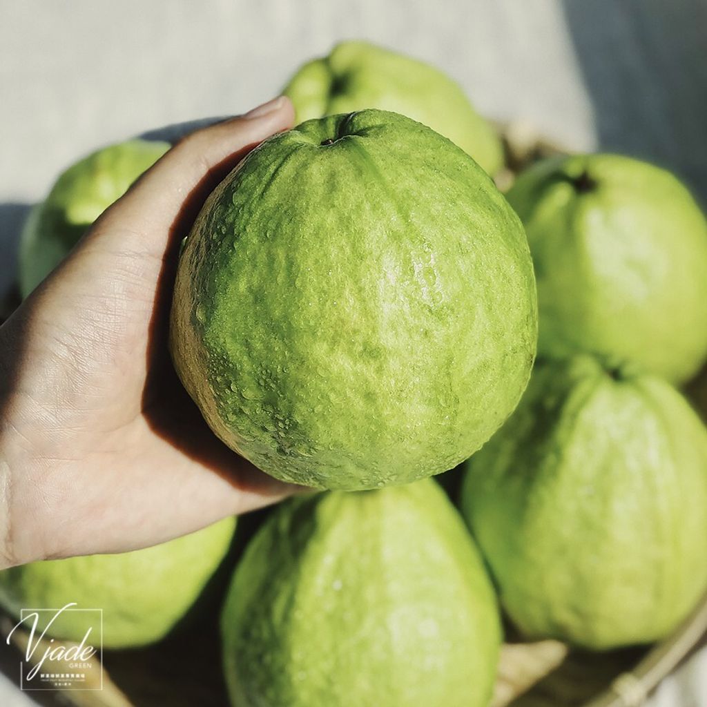 adbdf0a922c7d0209cc70c0989851b05