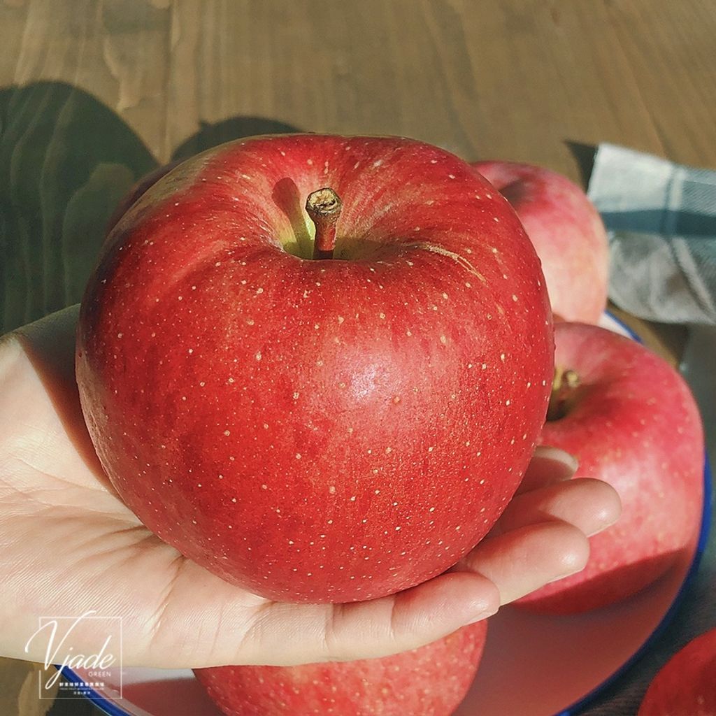 sg-11134201-22100-te5wi2tje4iva1