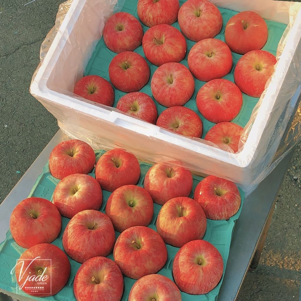 sg-11134201-22100-5nrejtmje4iv5d