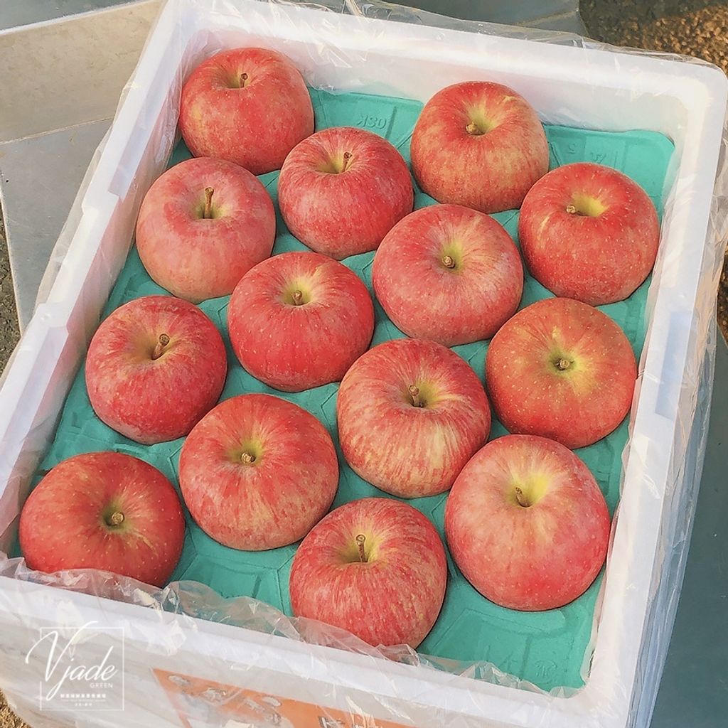 sg-11134201-22100-pbvwk5tje4ivb0