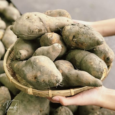 5d2b73e6921e4b3a0a7d915b5a9be9bf