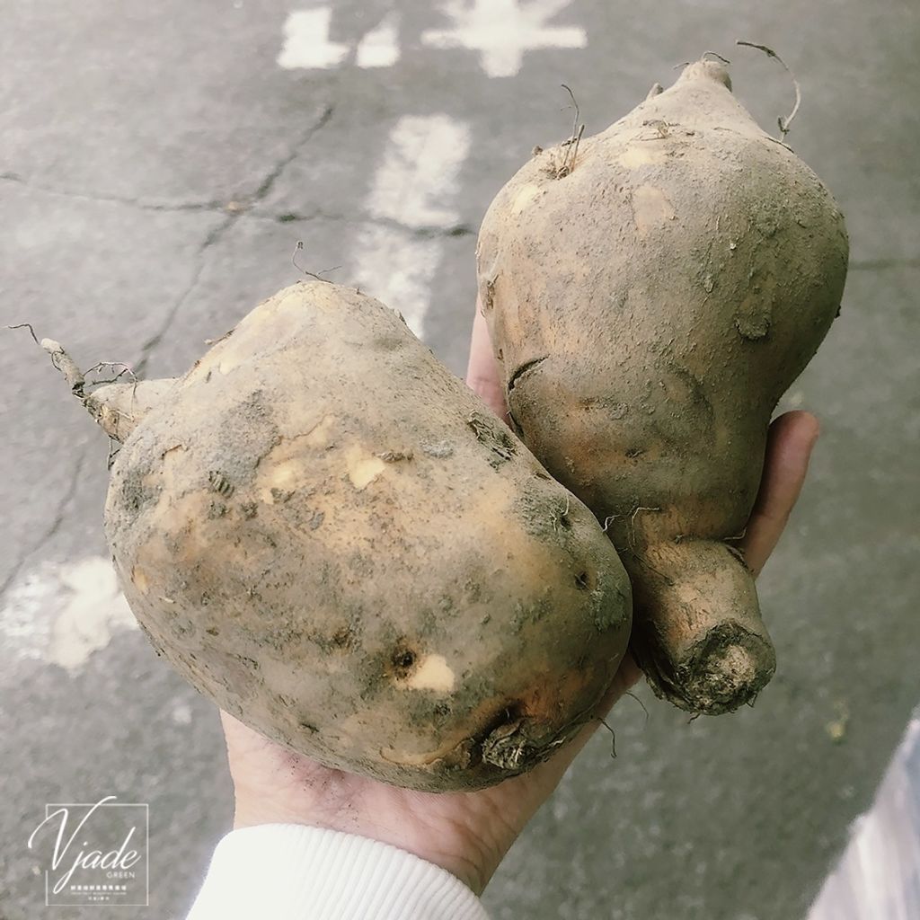 31b2f9651de4142b398f2ee28323e928