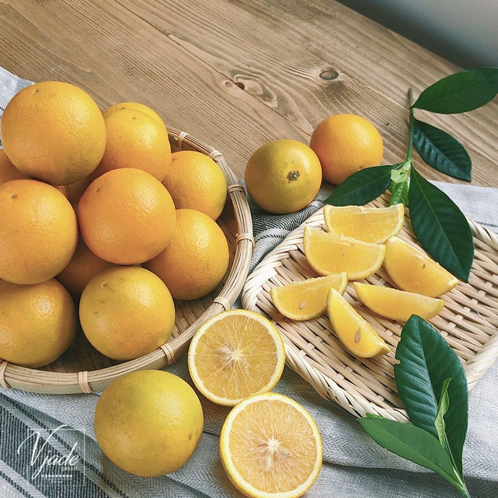 1e9cbd98831ccf468bbbde3eb46e6729