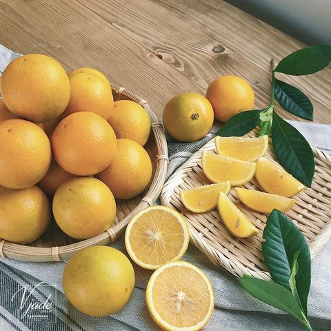 1e9cbd98831ccf468bbbde3eb46e6729