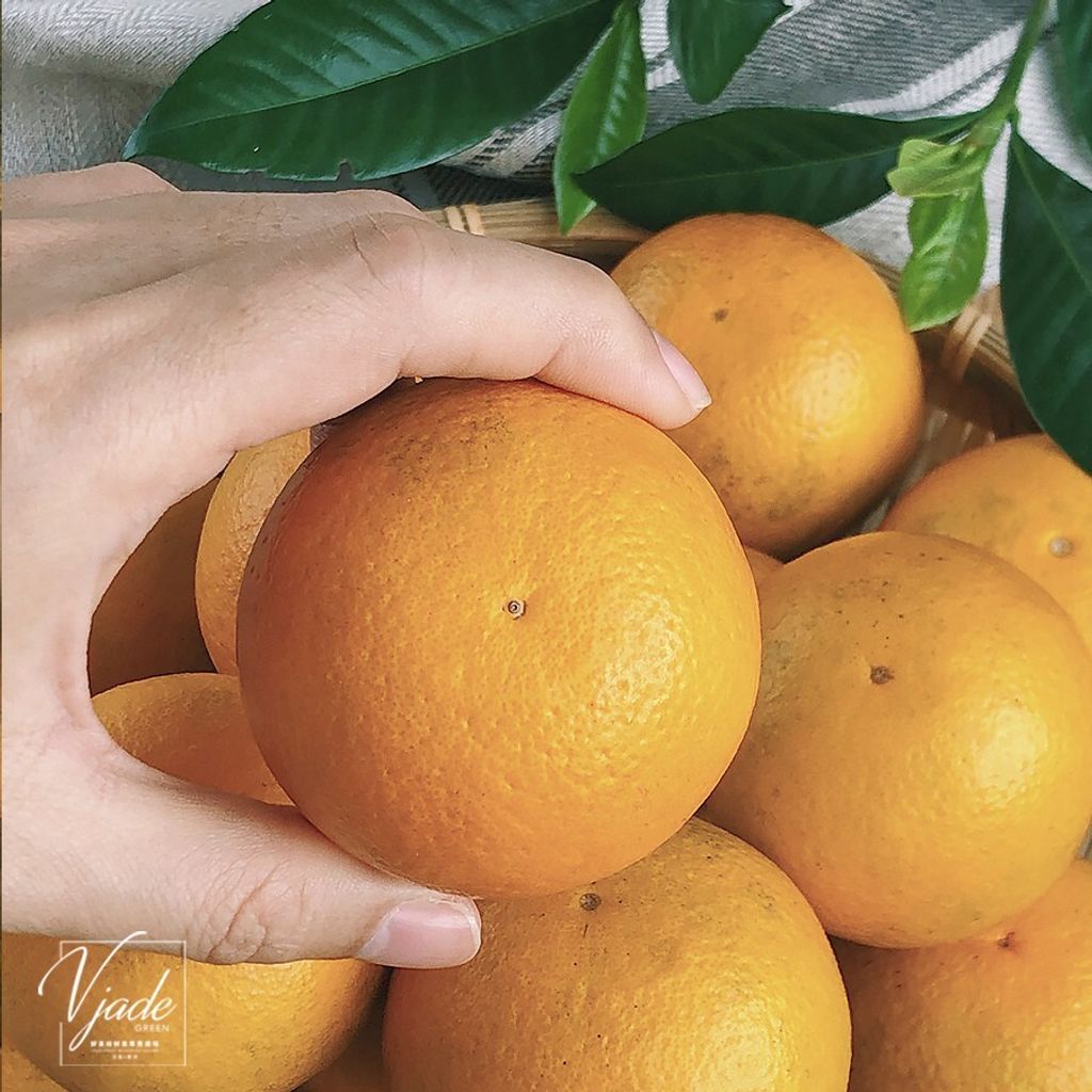 7faacd39771b4373507b25d1c1666f7d