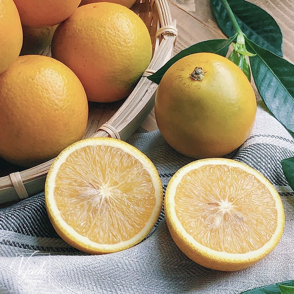 476eb76ef818e3f7b9693b5c84a87d79