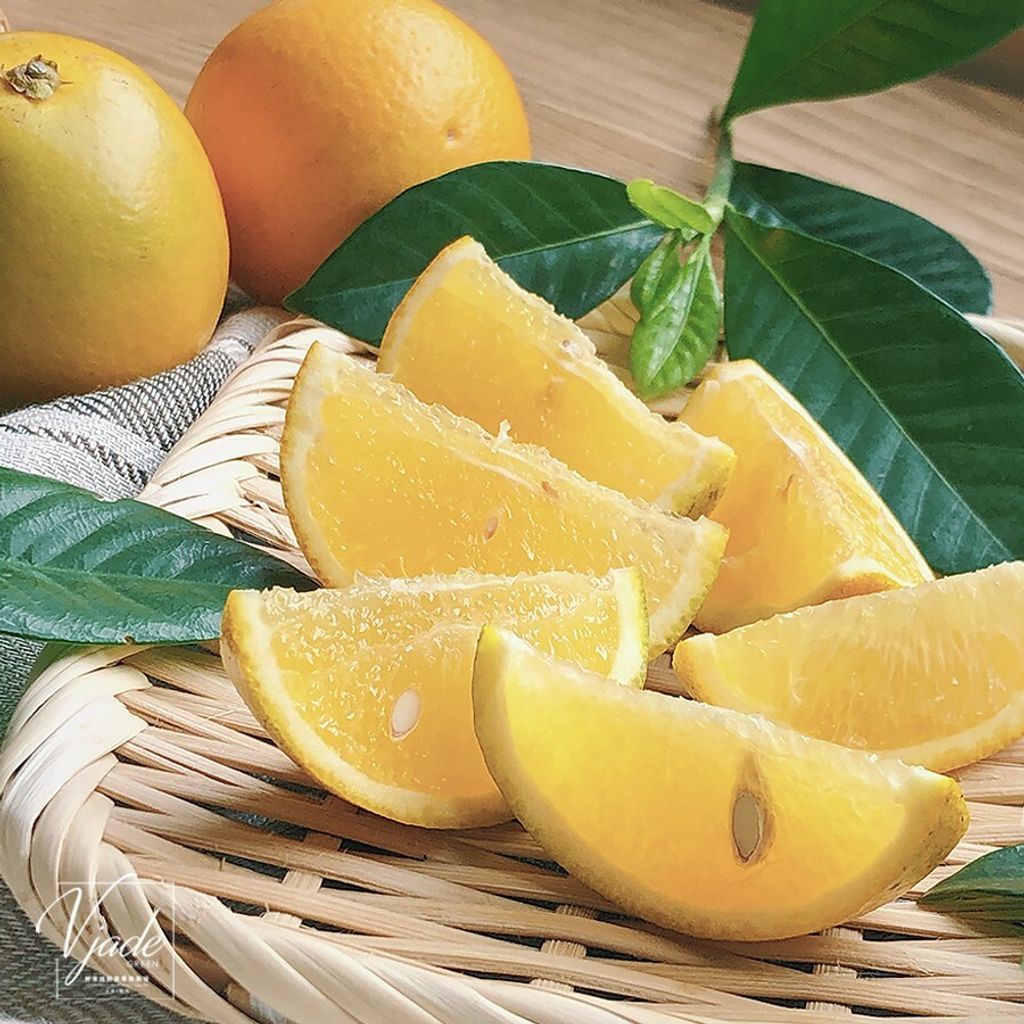 94ce93f4ef65995bdac3250329314c40