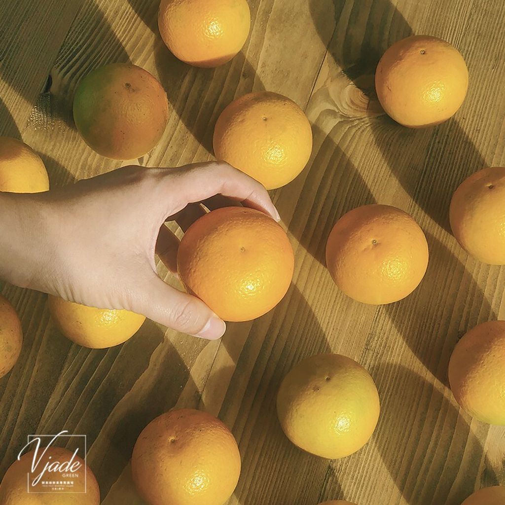 ab19970da787a144f4e017b4a946c9de