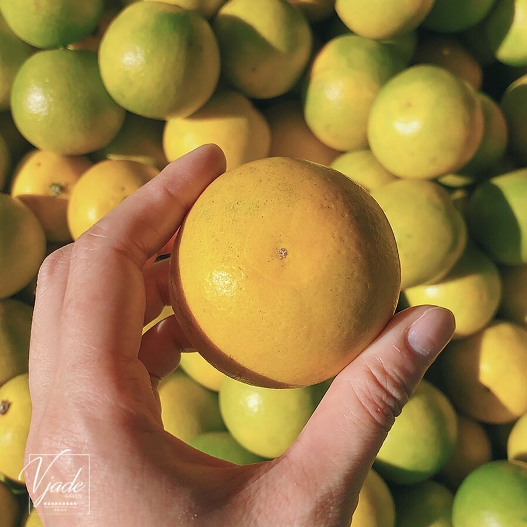 68c04c4a9fffd3318d41918320189b21