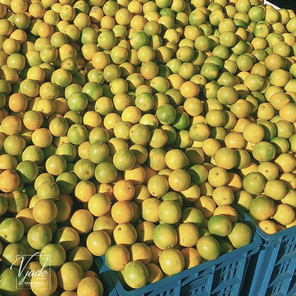 a192870b41fb94e01b03689e09880b68