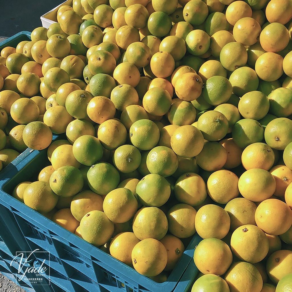 b26c8e034a1d9fc8f5f4b727b9e37dc7