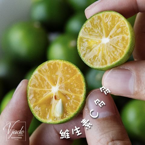 4a533f43d7f39cc02a4eb79bffb87bcd