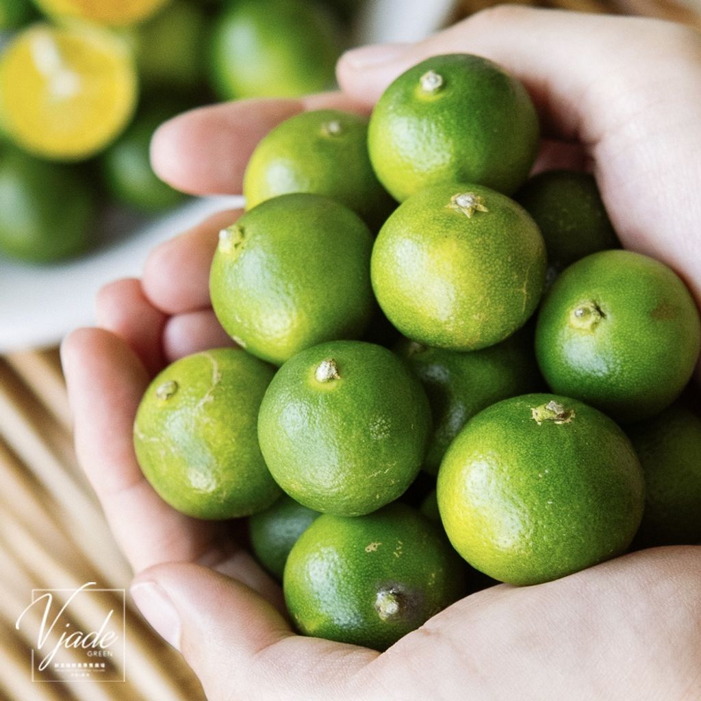 f11a69f433fcccc2313e85c6a36ab77b