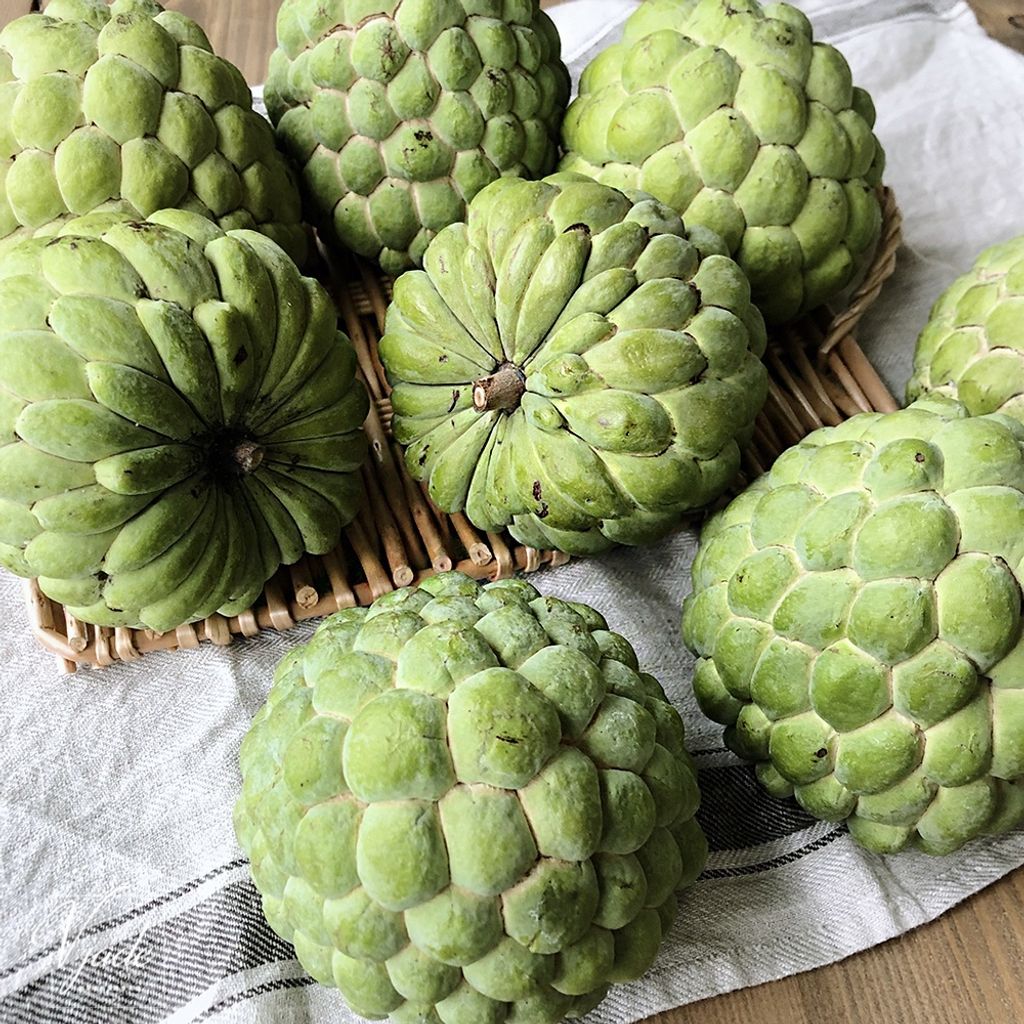 771fcccc26f4ae93c708f4dc6d56a0a5