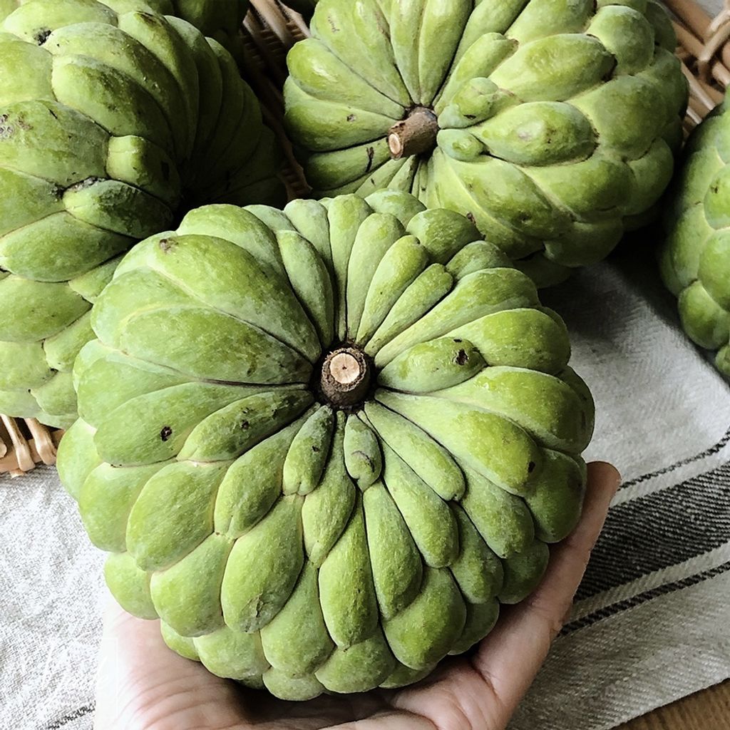 49ae7eebceb7892e6e017f11d21dbfef