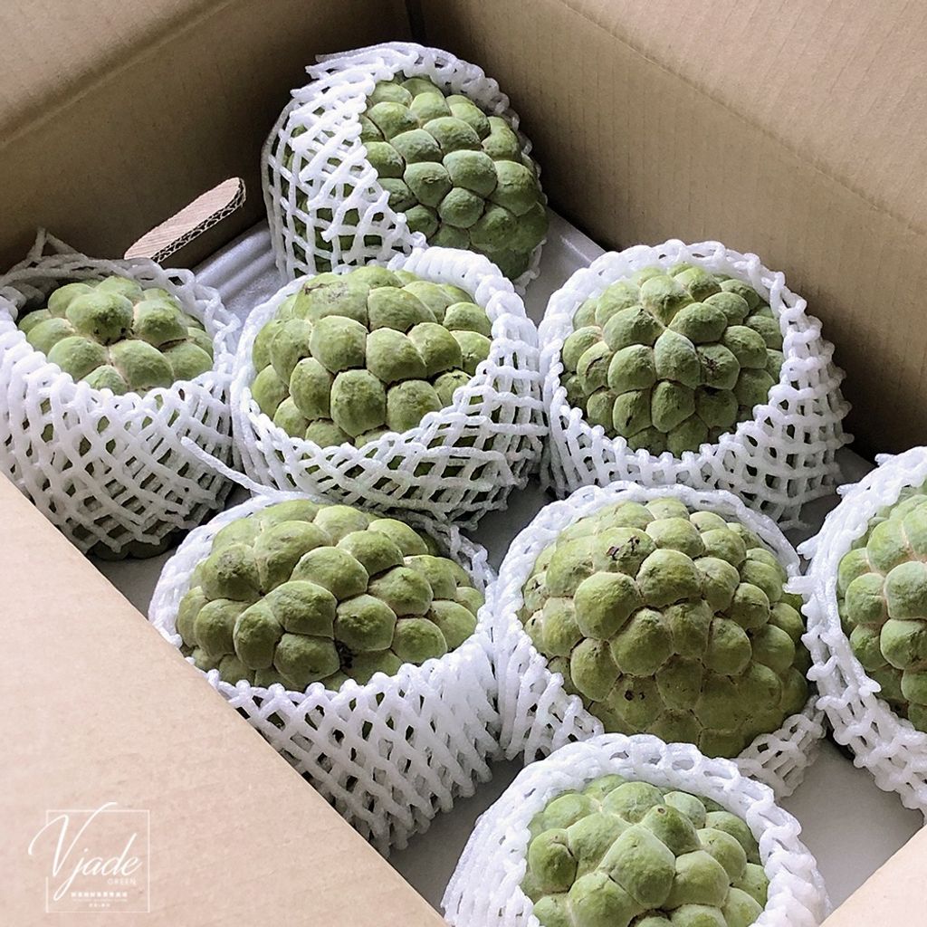 9b11e945bcc71088e72c34a594755a01