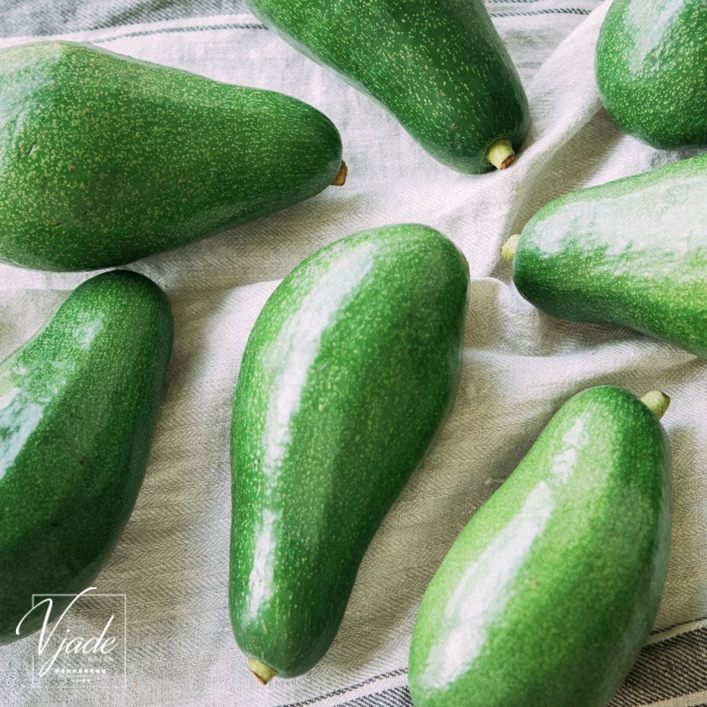 25fe02bbf7ee83191e8c35e75e423c53