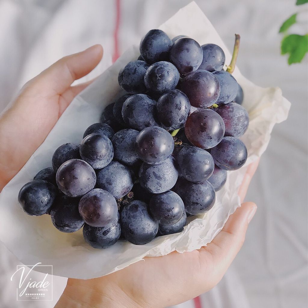 45ec6c8ebfd5eba43365830ce7503b68