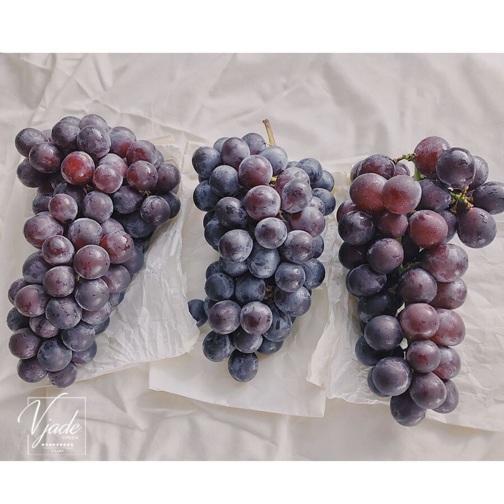 3634b6ea7517f01cc087fabab2a0491b