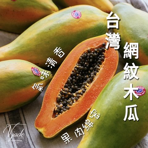 45175ee7c16b687aa65245a6f544c283