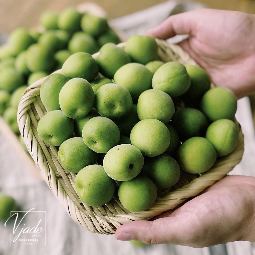 12b5215f53ba68a0ede9d359248d183f