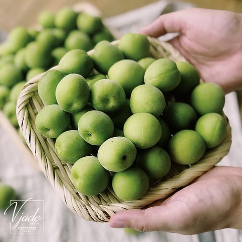 12b5215f53ba68a0ede9d359248d183f