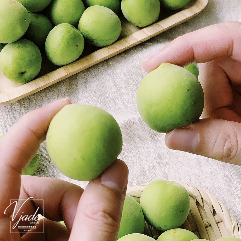 2c619d456c91eed83ee5ac4257464b07