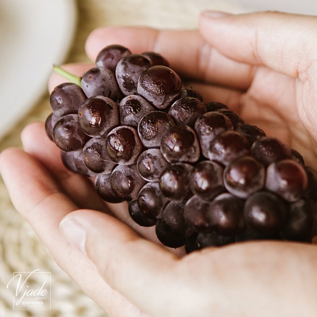 8ec3f6f8bed724facc318e87201045f9