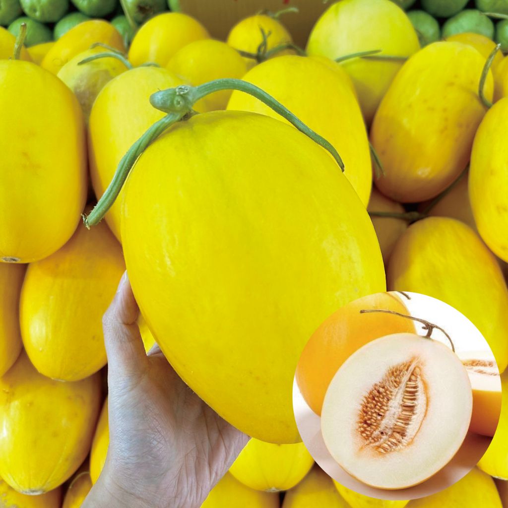 tw-11134207-7qukz-lgkhlrygzfghb8