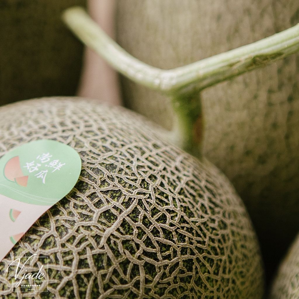 6c64ed2156831ad358e92fe742187063