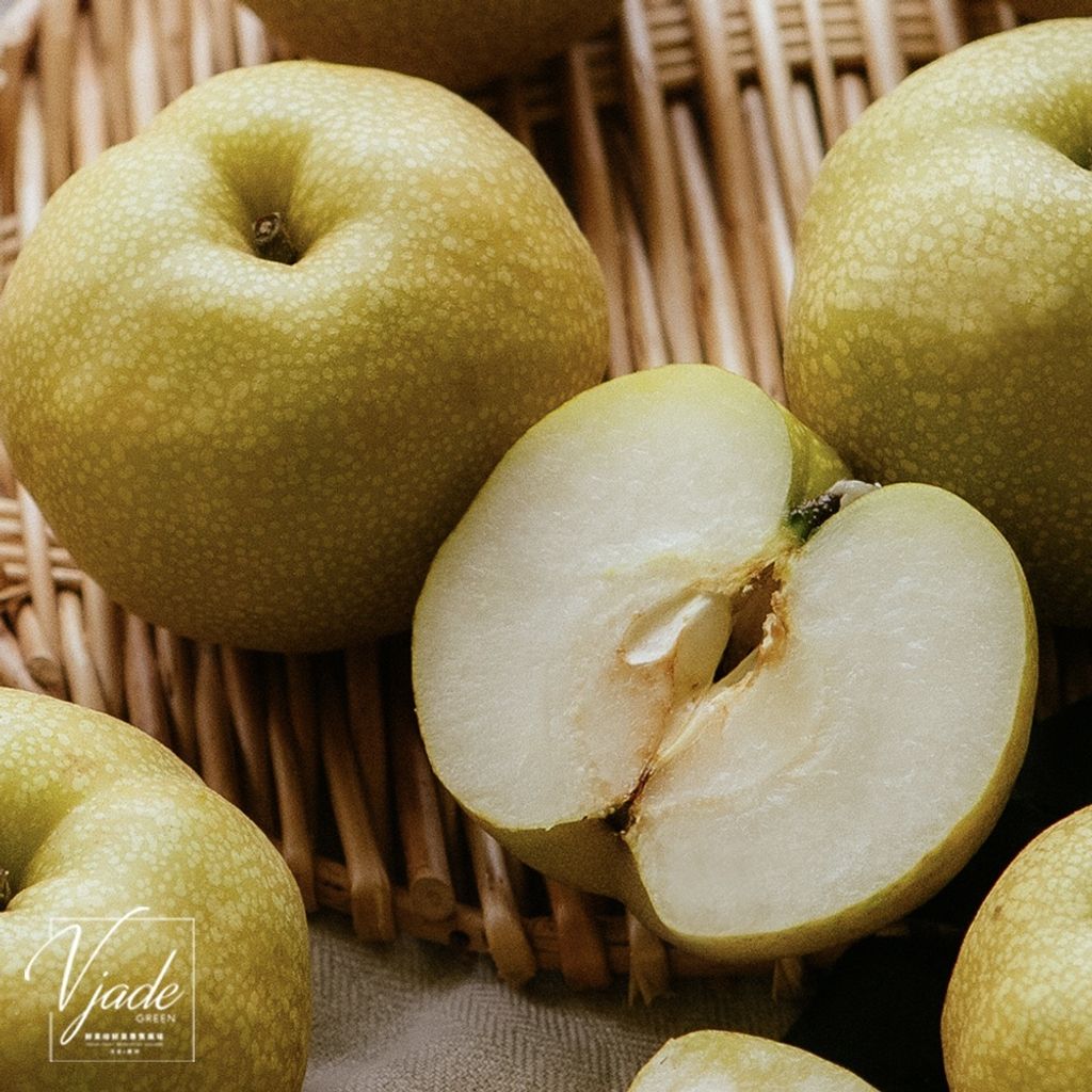 9a5b019a56ff985d48135c1c74908075