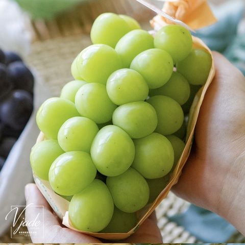 49ffdebbe9722454fecf1c386800db37