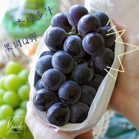 413bcdd6ed600ede00b364ac0f10445f