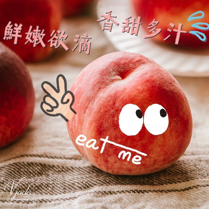 79cd72041eab8856b03bf6ff7649885b