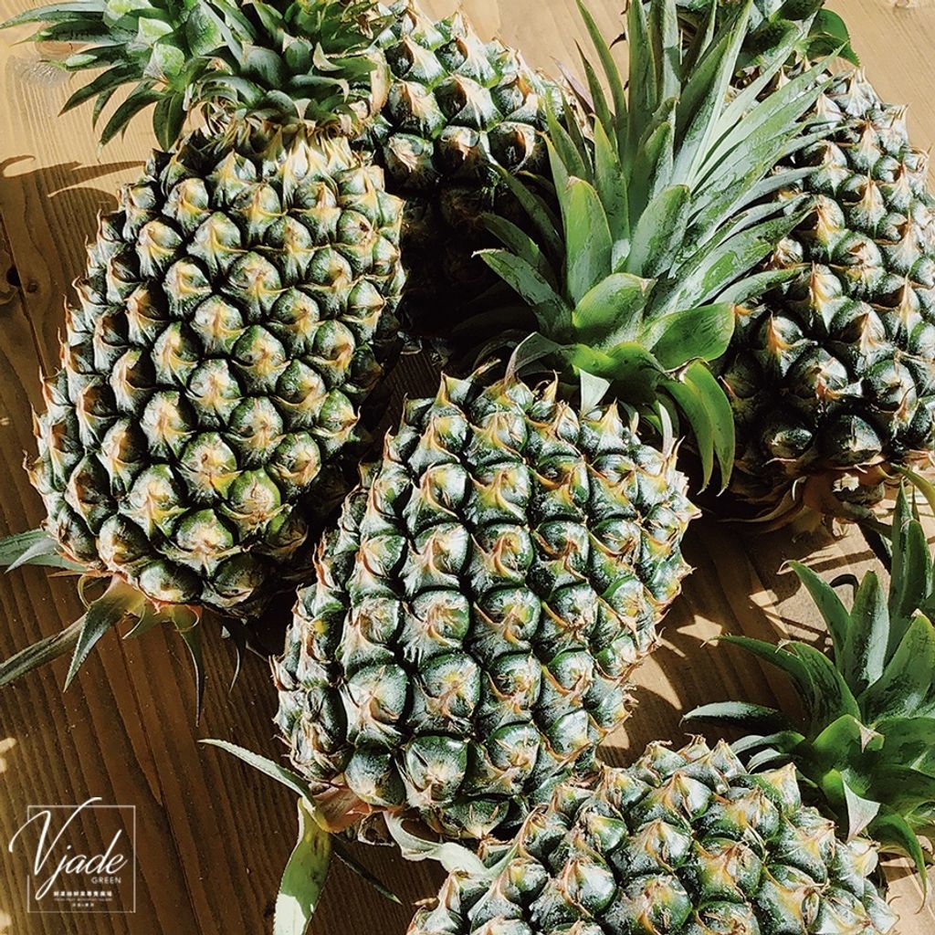 b38dc6c3768f707625c9bc4cd9978713