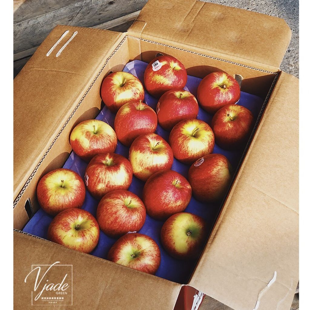 8431182d976662f149361844d8398058