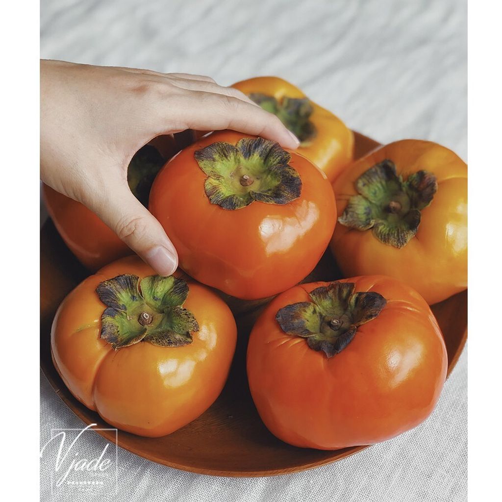 500f35347b66b5e23cdc9f6e65d588a2