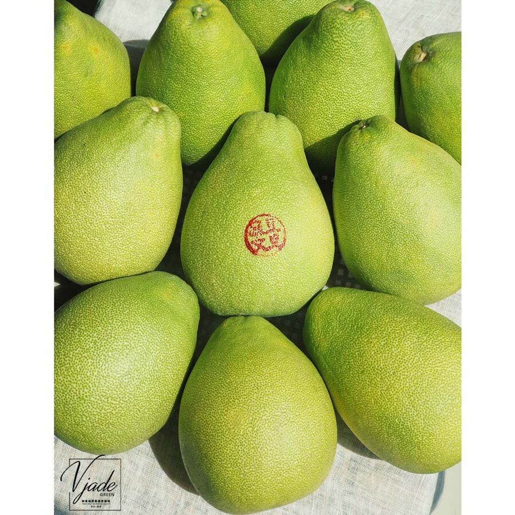 b9dea66b1632d40876dd4ce9f4726d09