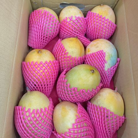 tw-11134207-7r98o-lkv0g3dvl2ntc2