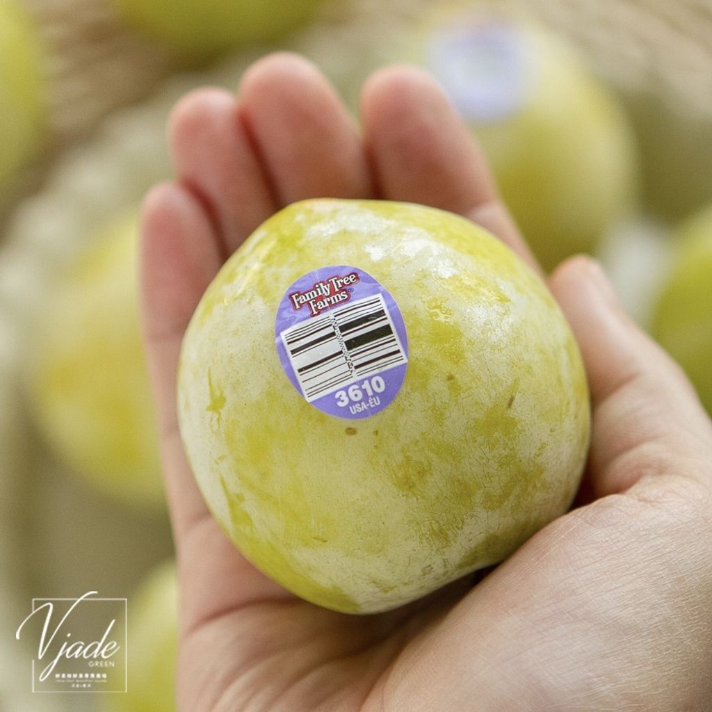 a1153abe7233f66dd7814b381fb2ddbf