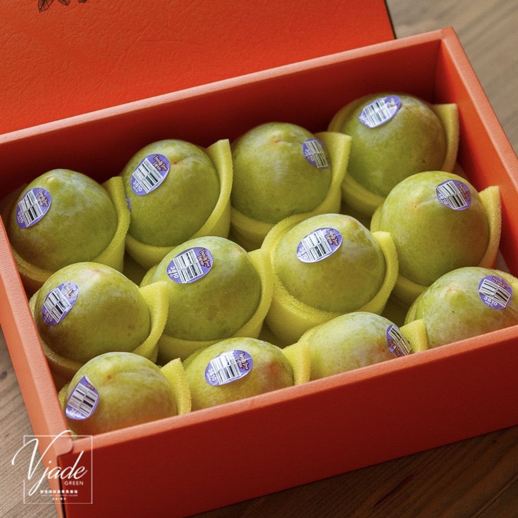 8f81e0455bce347a7640326f96d7f3c2